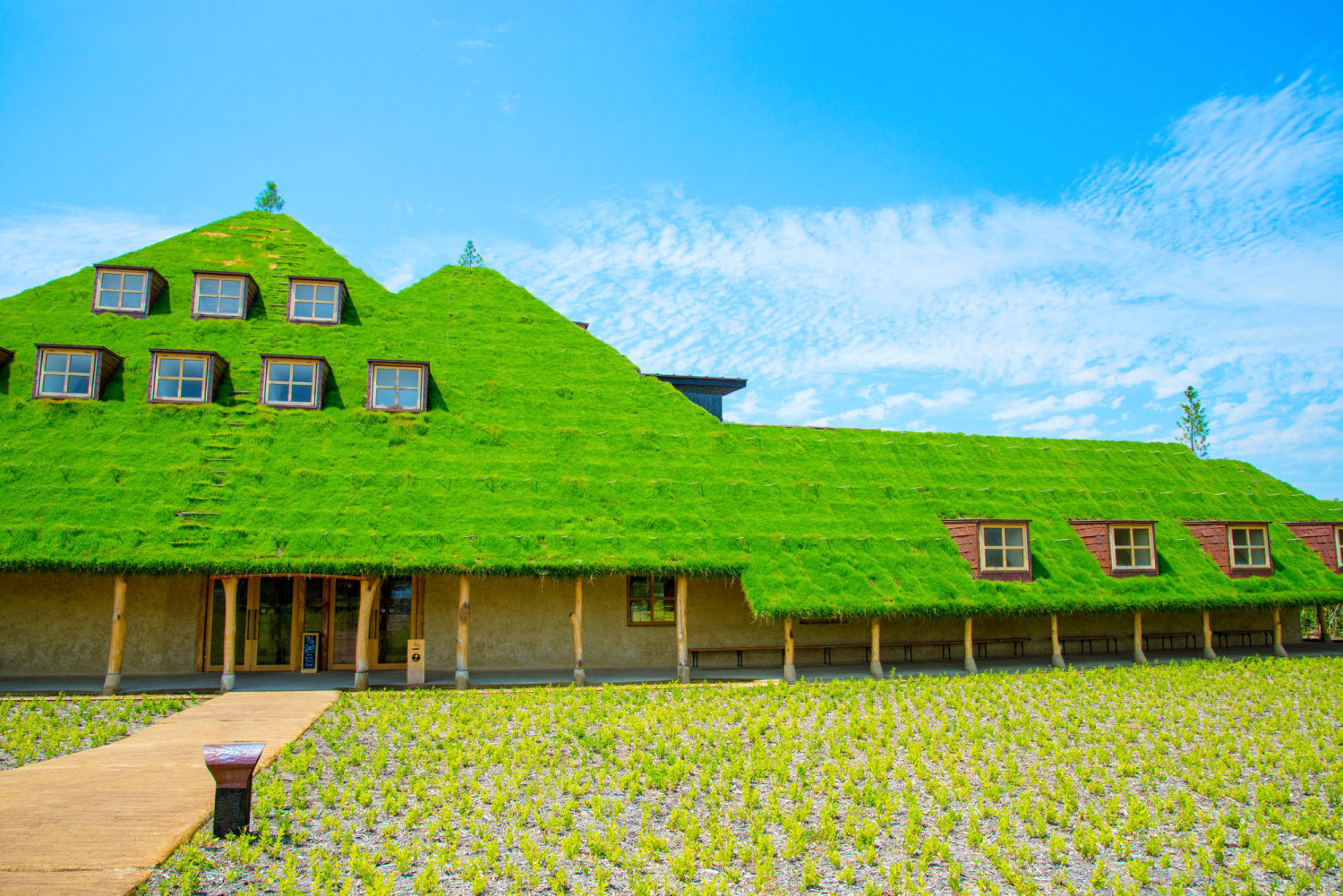 ここはおとぎの国 ジブリの世界 芝生屋根のかわいい おかしハウス を発見 Jptrp Com