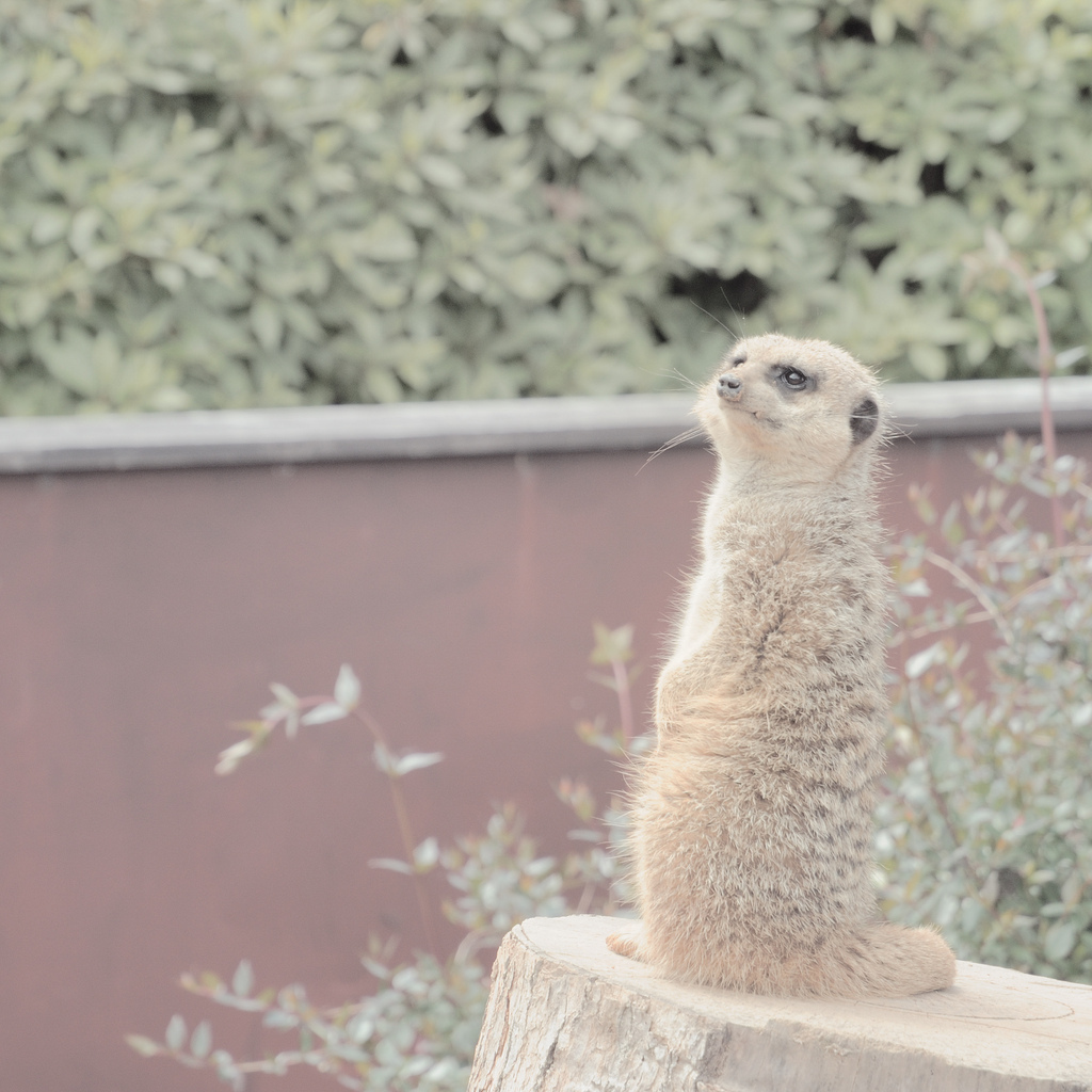 宮崎市フェニックス自然動物園で動物たちがもっと身近になる ドキドキの大接近 Jptrp Com