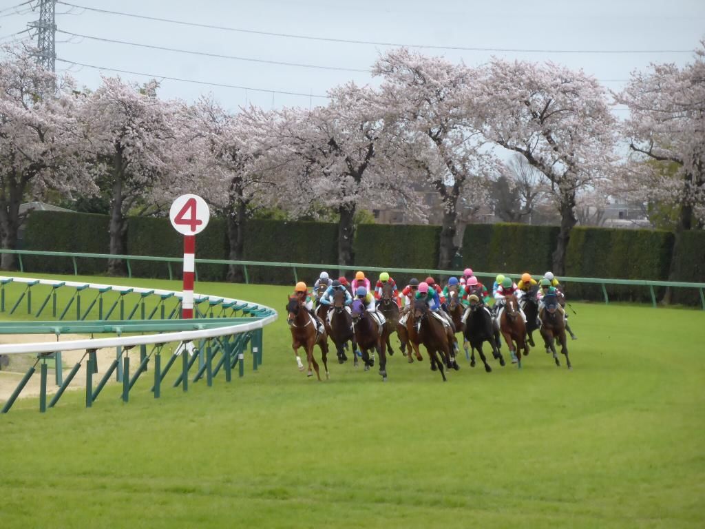 【有馬記念の競馬場】売上世界一!中山競馬場でレース観戦する人のための完全ガイド 【有馬記念の競馬場】売上世界一!中山競馬場でレース観戦する人のための完全ガイド