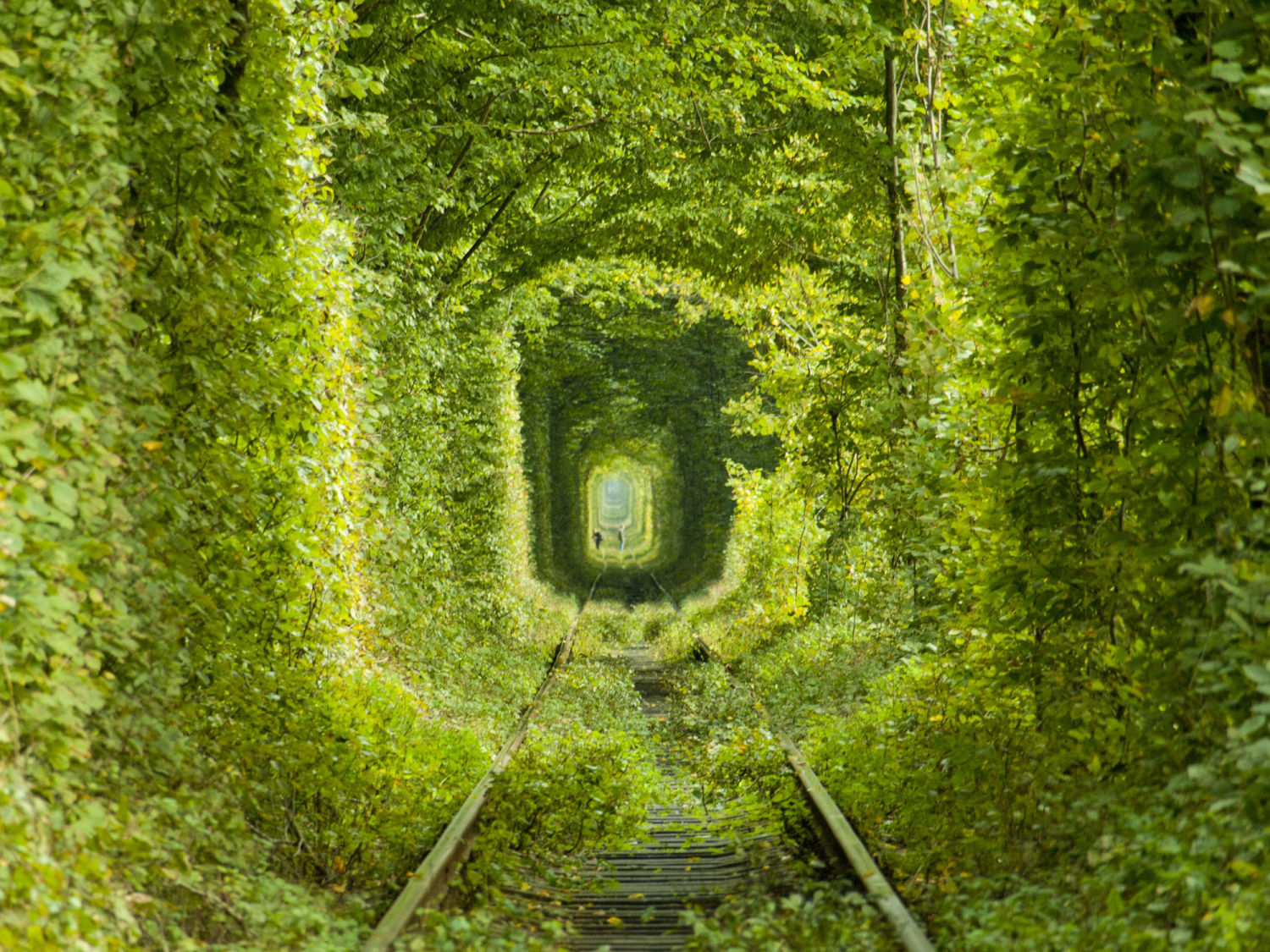 トンネルを抜けずとも、そこは絶景だった！一度は通ってみたい世界のトンネル１０選！