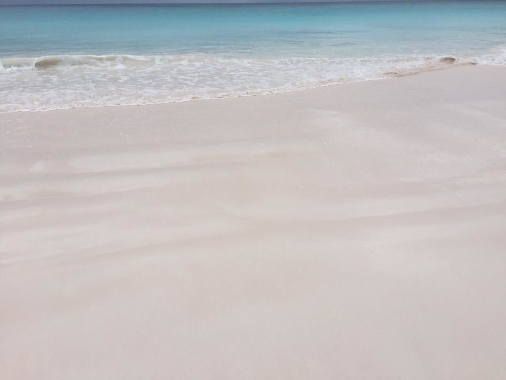 夢のような幸せ色がとっても素敵 世界のピンクサンドビーチ５選 Jptrp Com