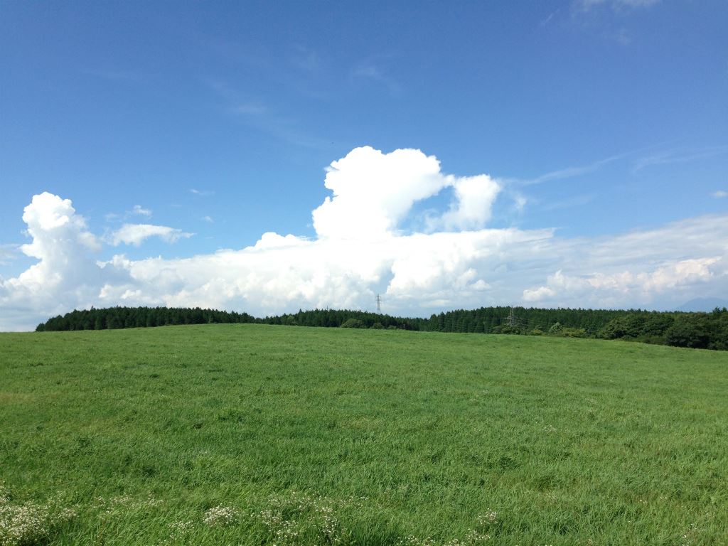 中央アルプスの景色と牛の鳴き声に癒される スイスみたいな 東濃牧場 でほのぼのしよう Jptrp Com