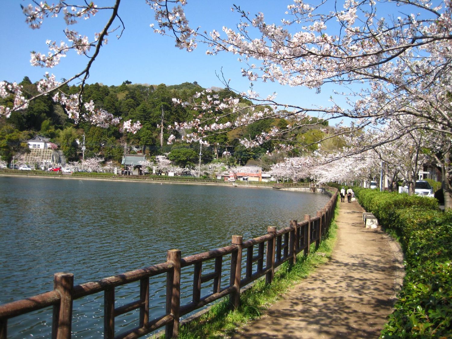 東金市の観光スポットは何がある?1度は行ってみたくなる「東金市」の魅力 東金市の観光スポットは何がある?1度は行ってみたくなる「東金市」の魅力