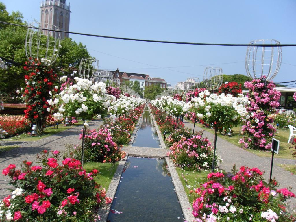 ハウステンボス周辺の駐車場 おすすめの１２選 Jptrp Com