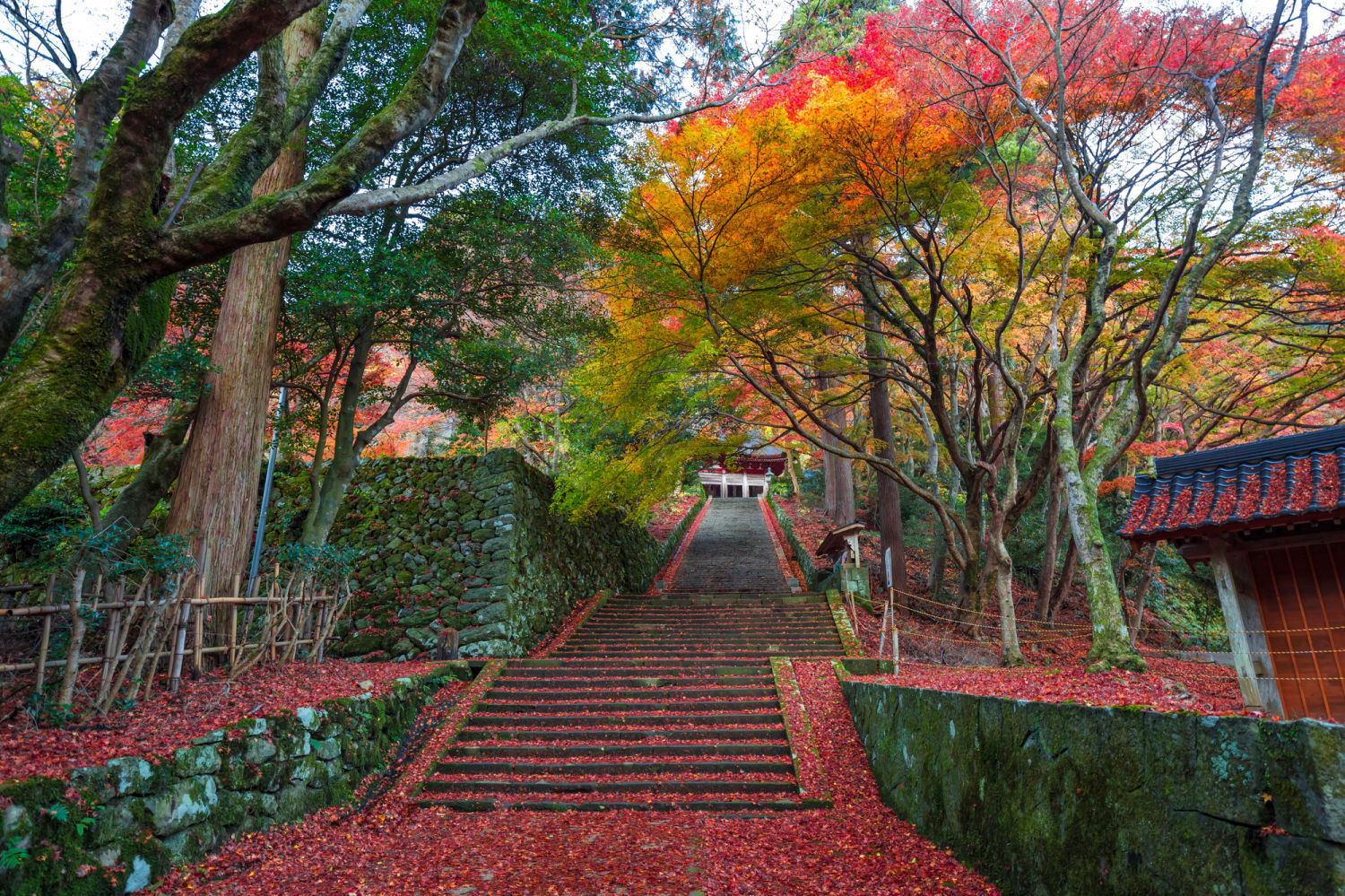 島根の紅葉の名所16選 出雲大社を参拝した後は 紅葉狩りに出かけよう Jptrp Com