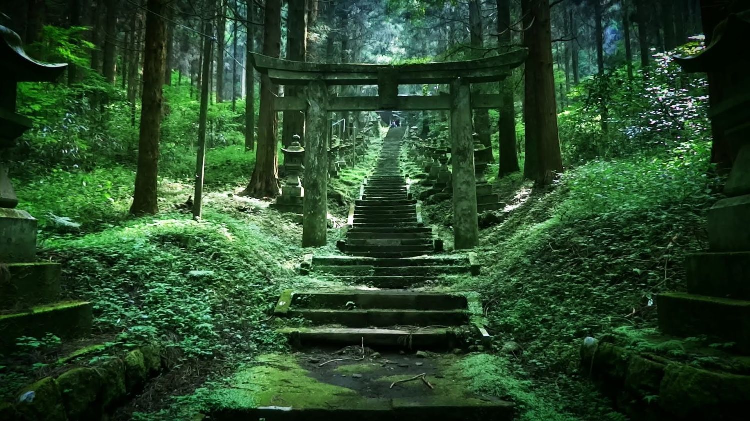 上色見熊野座神社が神秘的すぎて震える ネットでも話題の別世界の入口 Jptrp Com