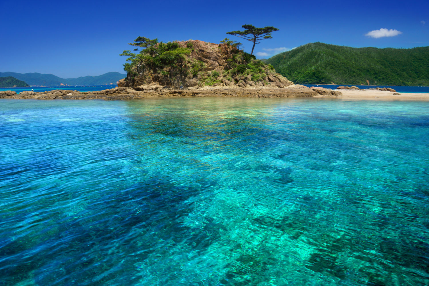 奄美大島観光の人気スポット50ヵ所まとめ 青く澄みきった海と自然に癒される Jptrp Com