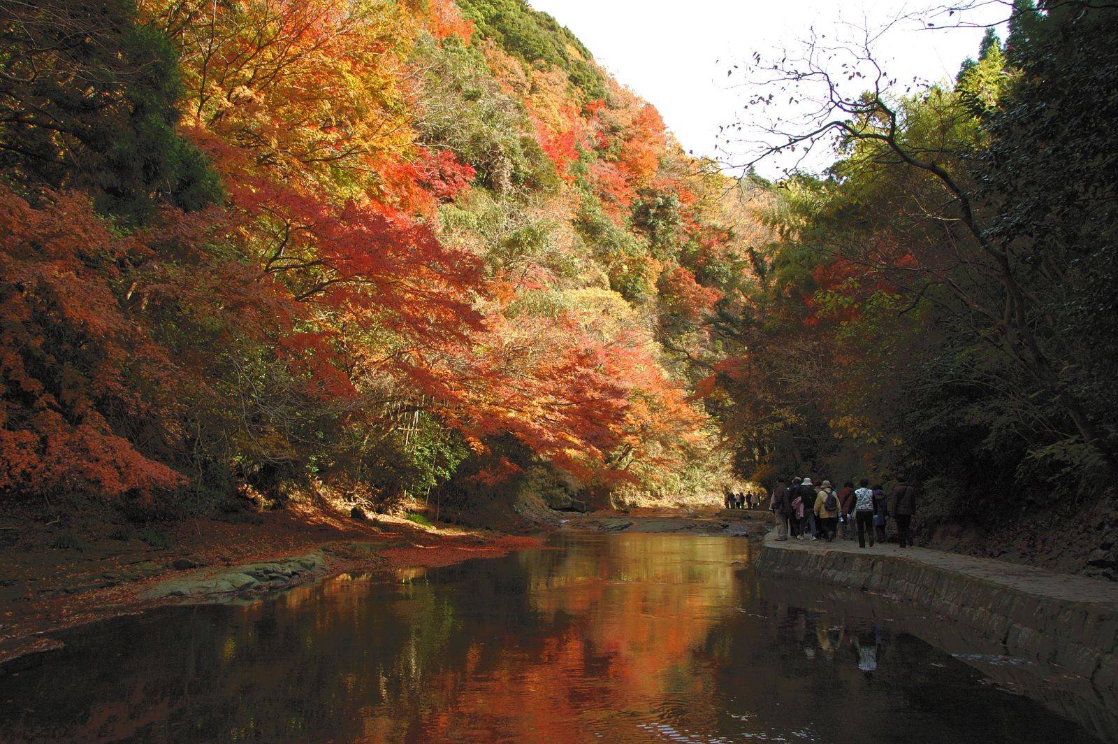 養老 渓谷 デート