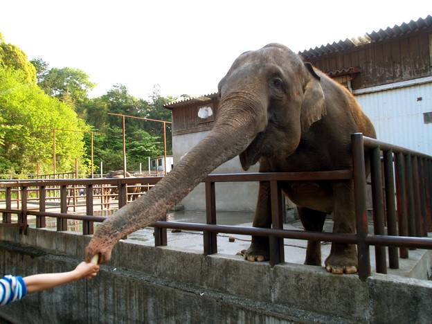 千葉県にある動物園行こう 珍しい の肉が食べられる Jptrp Com