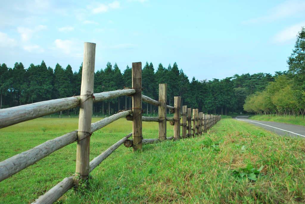 那須デートスポット おすすめ選 Jptrp Com