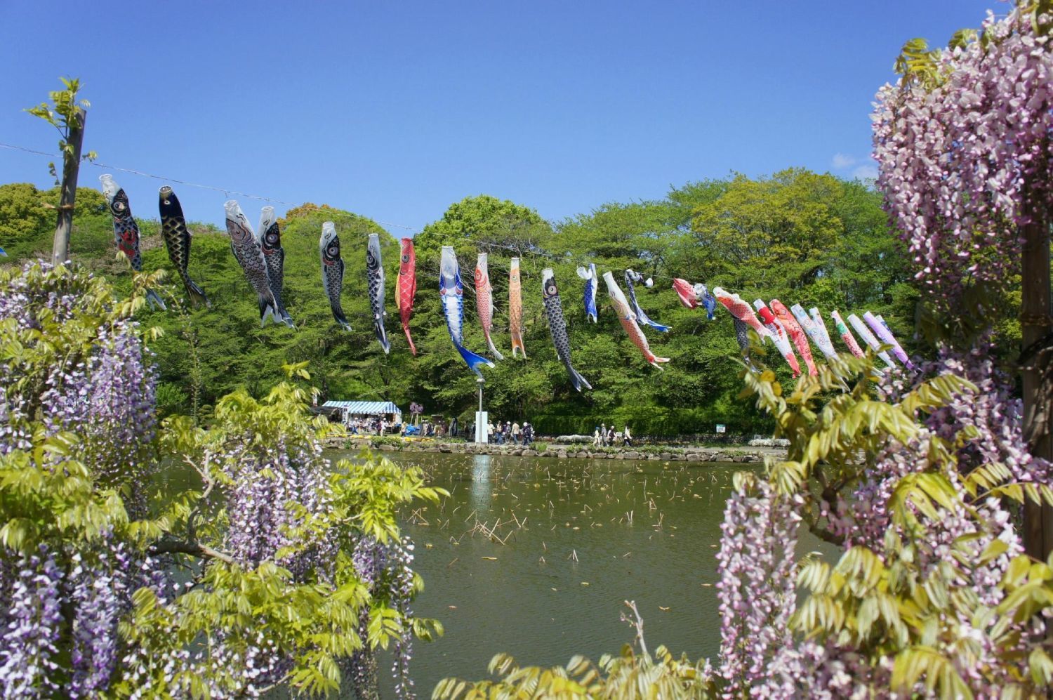 静岡県藤枝市が満喫できる!知っておきたい市内のおすすめ観光スポット5選 - JPTRP.COM