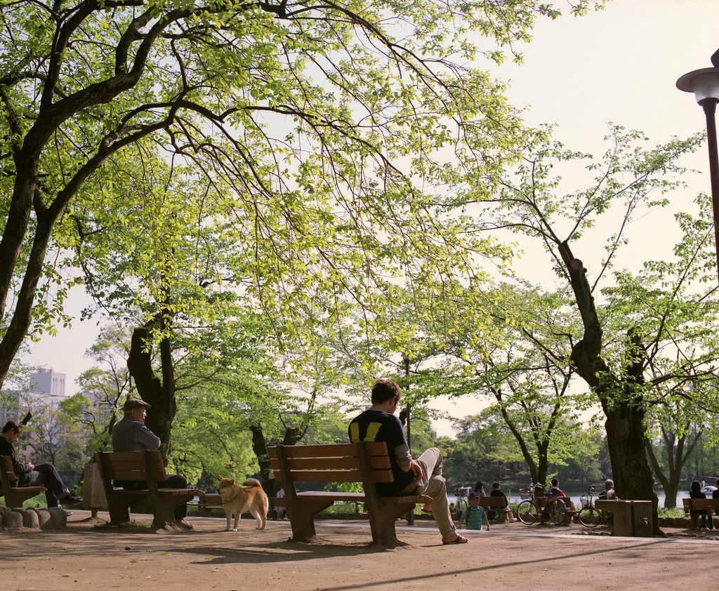 長原駅の基礎知識まとめ。気になる基本情報がここだけで丸わかり