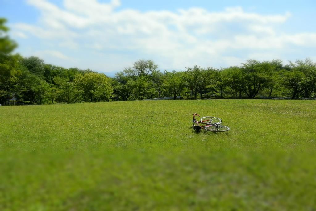 武蔵村山市はどんな町?東京都にある「武蔵村山市」の魅力がわかる基礎知識まとめ